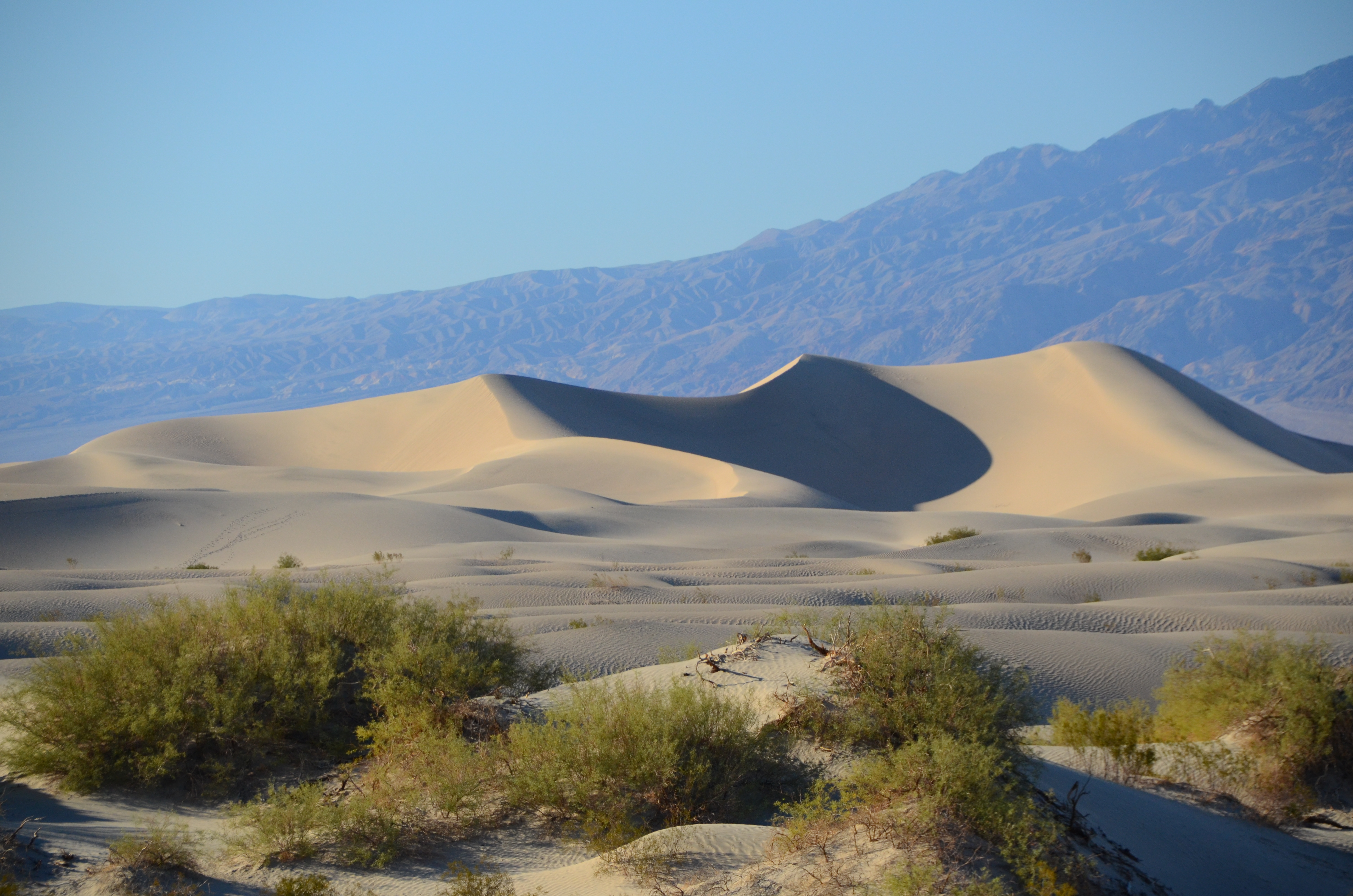 Sand Dunes